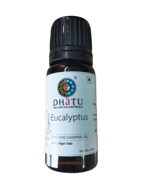 Eucalyptus Oil 10ml